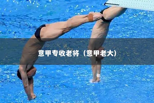 意甲专收老将（意甲老大）
